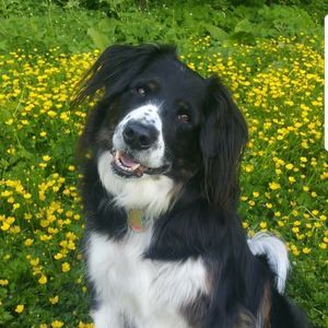 Meet your Posher, Karin